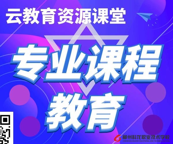 專(zhuān)業(yè)能力及課程視頻教程資料